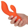 Calexotics - Stella Dual Teaser Orange